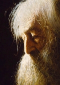Daniel Detail Canvas Giclee' - closeup